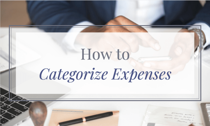 Categorize expenses findyourmomtribe